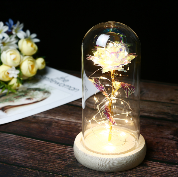 Mothers Day Valentine's Day Gift Enchanted Forever Rose Flower In Glass LED Light Home Decoration