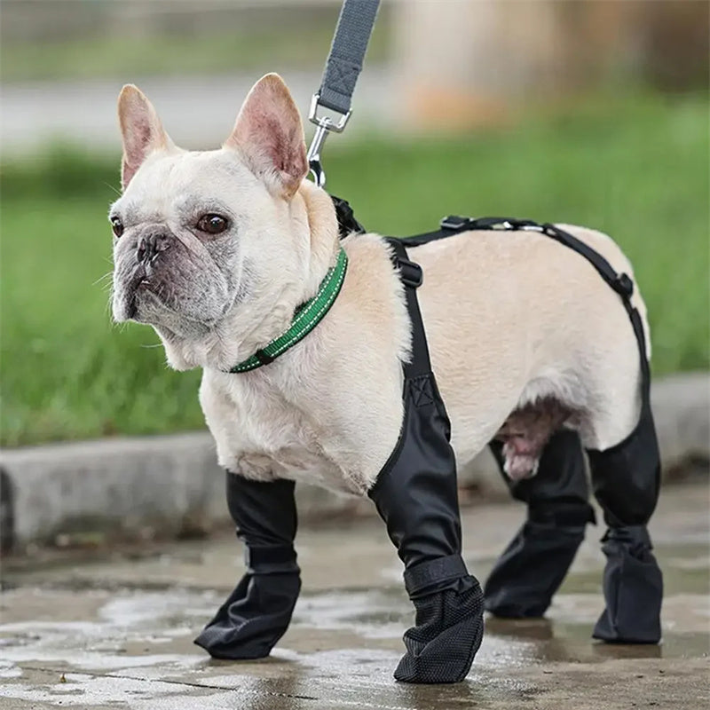 Adjustable Waterproof Dog Shoes for Outdoor Walking - Ideal for Your Pet