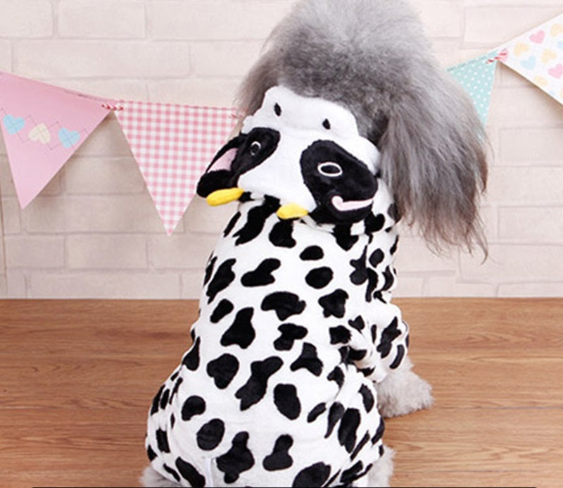 Autumn And Winter Transformed Into Dog Pet Costumes