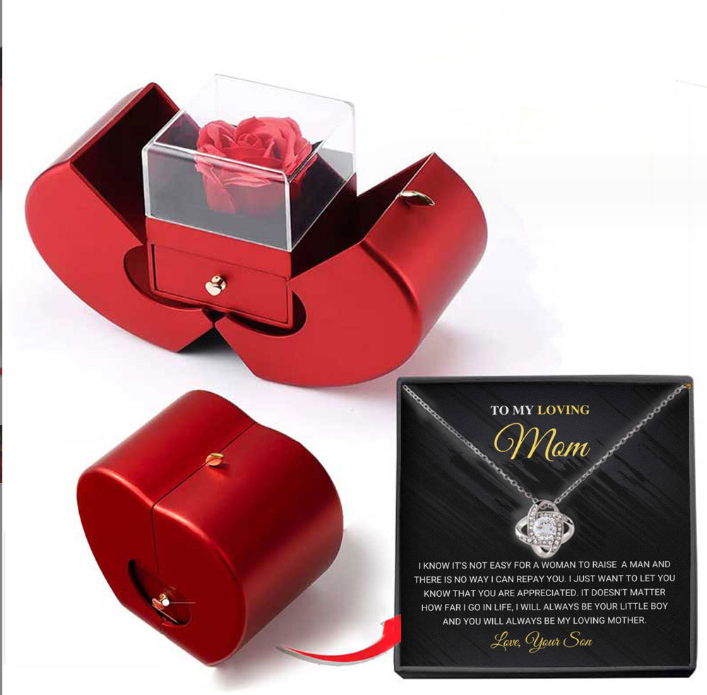 Red Apple Necklace - Perfect for Mother's Day and Valentine's Day, with artificial rose in jewelry box.