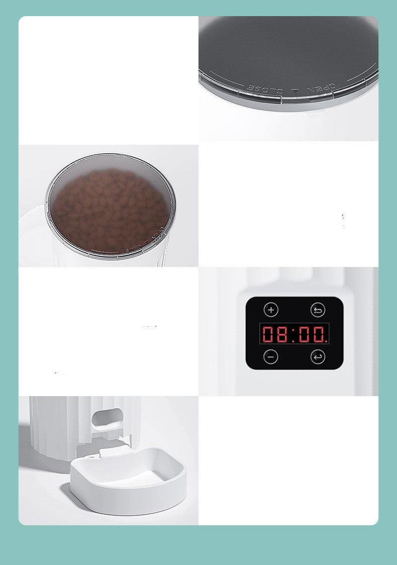 Cat Automatic Pet Feeder Intelligence